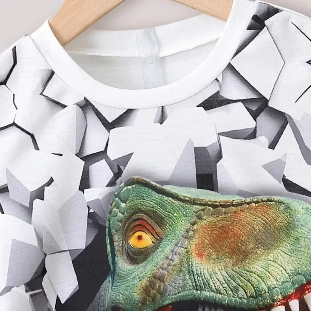 New boy’s summer “dinosaur” outfit 4 years